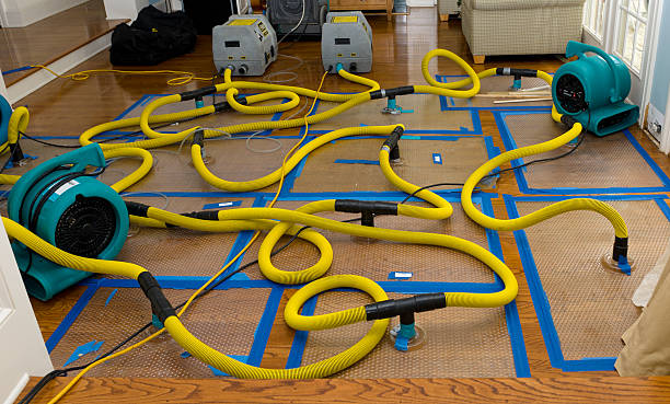 Professional Structural Drying And Dehumidification technician working in Wedgefield, FL